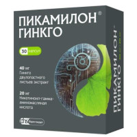 Пикамилон гинкго капсулы 40мг + 20мг №30. Фото