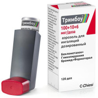 Тримбоу аэрозоль для ингаляций дозированный 100 + 10 + 6 мкг/доза (120доз). Фото